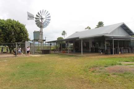 farm building and windmill