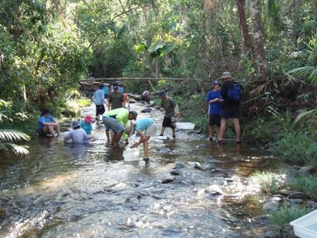 students looking at plants in stream