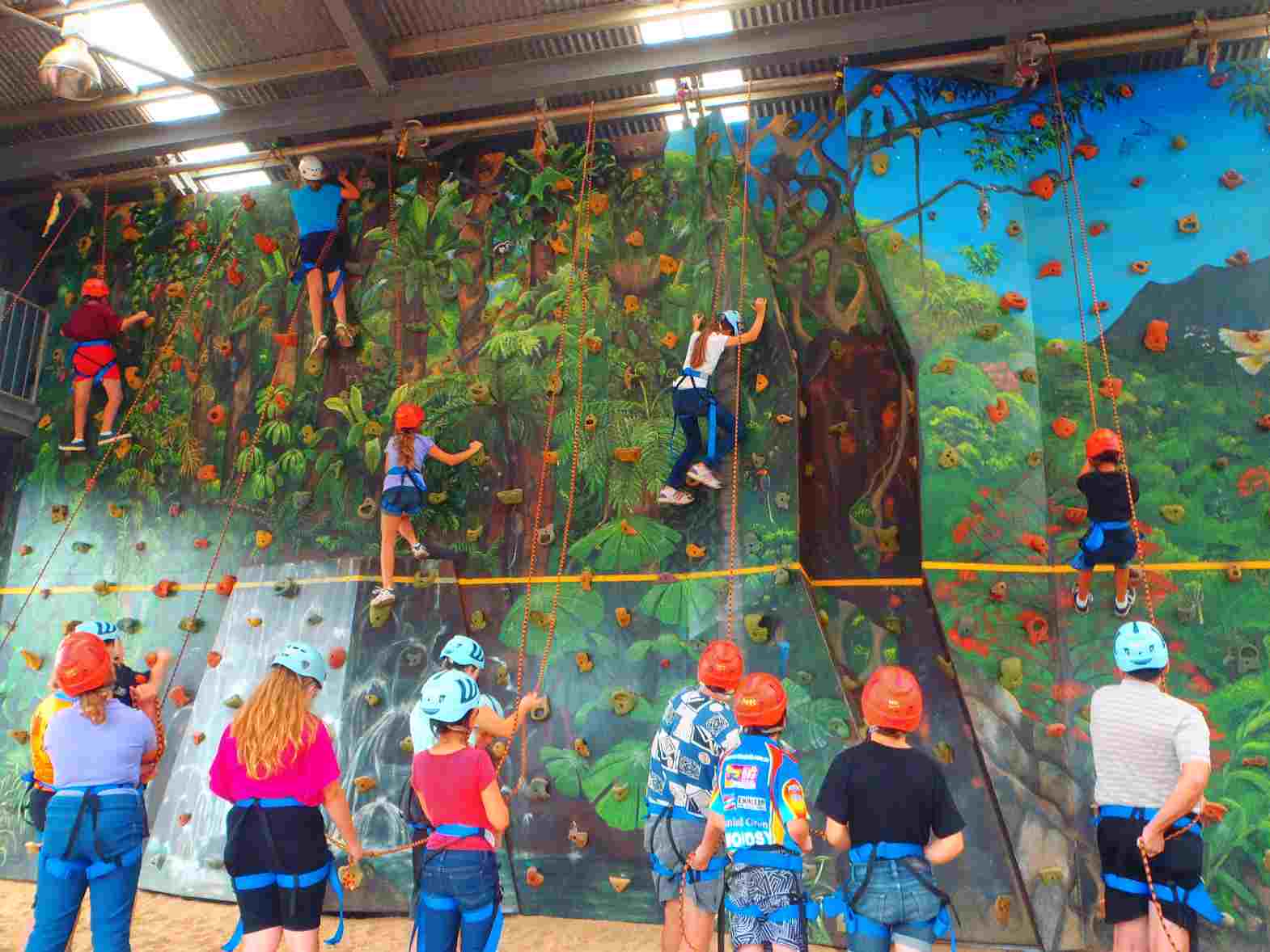students doing top rope indoor climbing